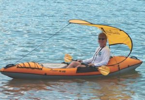 Sun Shade - Gold color